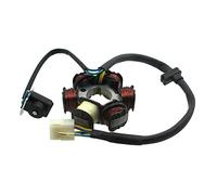 STONEDER Stator pour Z190 Zongshen 2 V 190 cc Démarrage électrique Pit Dirt Bike ZS1P62YML-2