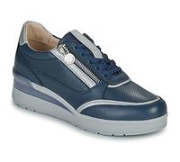 Stonefly Baskets basses CREAM 52 ZIP NAP LASER in Bleu 37