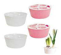 Stonivislyt Jardinière hydroponique,Pot de Jacinthe à 3 Trous,Récipient de Plantation de bulbes de Fleurs,pour jardiniers, Appartement, Bureau, Enseignants