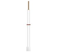 stonylab Électrode en Titane, Électrode de Titane avec Plaque de Titane 10x10x0,1 mm et Corps en PTFE pour Cellule Électrolytique de StonyLab Électrode de Laboratoire