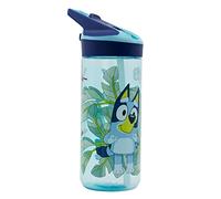 Stor Bouteille Ecozen Premium Moyenne 620 ml Bleu