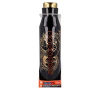 STOR Bouteille Isotherme Diabolo en Acier Inoxydable 580 ML Dragon Ball, Unique, Standard