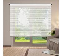 STOR PLANET | Store Enrouleur Tamisant Scene, Stores Intérieurs Décoratifs pour Cuisine, Salon, Chambre, Stores enrouleurs avec mesures de Fenetre et Porte | Rayures Blanc, 80x180cm