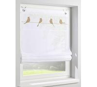 Store bateau Gravelot avec motif d'oiseau en nature - Store à œillets semi-transparent pour fenêtre de taille 100 x 140 cm, montage sans perçage