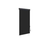 Store roulant d'extérieur 100 x 250 cm Anthracite