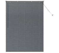 Vidaxl Store De Fenêtre Avec Des Rideaux Manuel Gris Foncé Aluminium