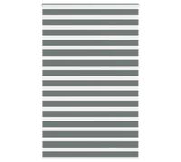 vidaXL Store zèbre à enrouleur Polyester Gris clair Largeur tissu 145,9 cm