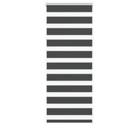 Store zèbre Noir 60x100 cm Largeur du Tissu 55,9 cm Polyester Jalousie Zebra Rollo Doppelrollo Sichtschutz Sonnenschutz für Fenster Schwarz KinderSicherClip Montage Klemmträger