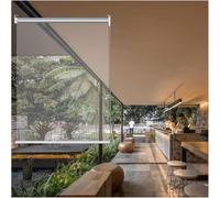 Stores enrouleurs en Plastique PVC Transparent, Enrouleur Transparent, Stores enrouleurs imperméables et résistants à la Pluie, Stores for Patio extérieur, hôtel(80x120cm/31.4x47.2in)