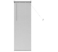 Stores vénitiens en aluminium - vidaXL - Argenté - 40x130 cm - Finition mate - Fonctionnement manuel - Montage extérieur