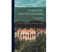 Storia Del Diritto Italiano: Dalla Caduta Dell'impero Romano Alla Codificazione, Volume 3...