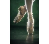 Storia della Danza: Dalle Origini Rituali al Linguaggio Contemporaneo Antichità 2026