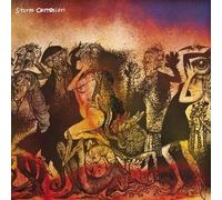 Storm Corrosion (Special Edition)