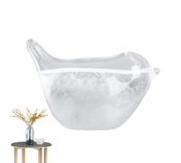 Storm Glass Storm Glass Weather Forecaster, Storm Predictor Glass Weather Baromètre avec motif oiseau, outil décoratif et scientifique pour les prévisions météorologiques