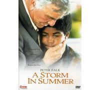Storm in Summer [Import USA Zone 1]