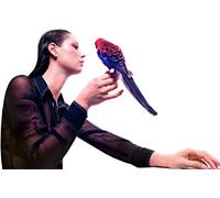 Grace Cummings – Storm Queen – Vinyle 12" coloré