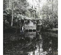 Storm the Sky - Permanence [Import]