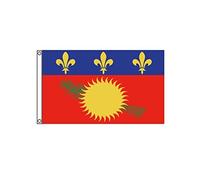 Stormflag Drapeau Guadeloupe 90x150cm Drapeau Guadeloupe alternatif 3x5ft Polyester 90g avec œillets et Double couture(rouge)