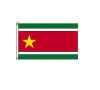 Stormflag Drapeau Guadeloupéen Indépendantiste 60x90cm Drapeau Guadeloupe indépendant 2x3ft Polyester 90g avec œillets et Double couture