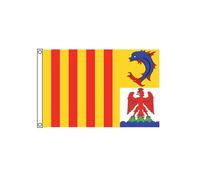 Stormflag Drapeau Provence-Alpes-Côte d'Azur 100x150cm Drapeau Provençal - France 100x150cm en polyester 90g avec œillets et Double couture