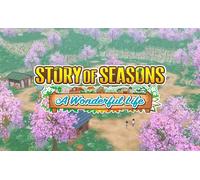STORY OF SEASONS A Wonderful Life (PC)
