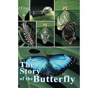 Story of the Butterfly [Import USA Zone 1]