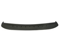 Stoßstangenspoiler Avant Compatible À : RAM Camion RAM III, RAM IV 01.10-04.18