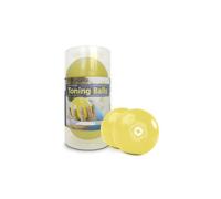 STOTT PILATES, Lot de 2 balles Tonifiantes (Jaune Citron), 0,9 kg chacune