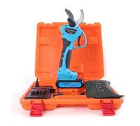 STRAFBRG Sécateur sans Fil Sécateur 16,8 V Sécateur électrique sans Fil Professionnel Sécateur avec Batteries Li Écran LCD,Fonctionnement contrôlé(Scissors Set Box)