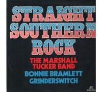 STRAIGHT SOUTHERN ROCK - SAMPLER - VARIOUS LP (VINYL ALBUM) UK CAPRICORN 1976