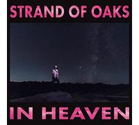 Strand of oaks - In heaven