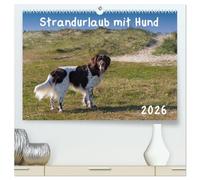 Strandurlaub mit Hund (hochwertiger Premium Wandkalender 2026 DIN A2 quer), Kunstdruck in Hochglanz: Eine bunte Mischung vierbeiniger Standurlauber an der Nordsee