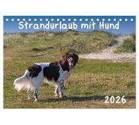 Strandurlaub mit Hund (Tischkalender 2026 DIN A5 quer), CALVENDO Monatskalender: Eine bunte Mischung vierbeiniger Standurlauber an der Nordsee