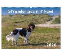 Strandurlaub mit Hund (Wandkalender 2026 DIN A2 quer), CALVENDO Monatskalender: Eine bunte Mischung vierbeiniger Standurlauber an der Nordsee