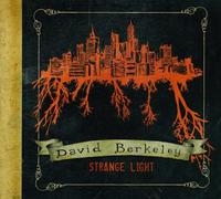 Strange Light by David Berkeley