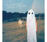 STRANGER IN THE ALPS [Analog]