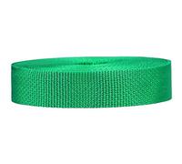 Strapworks Sangle en polyéthylène pour réparation d'équipement de Bricolage en Plein air, Colliers pour Animaux de Compagnie, travaux manuels, 2,5 cm x 22,9 m, polypropylène, Vert Kelly, 2,5 cm