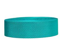Strapworks Sangle légère en polypropylène - Sangle en polyéthylène pour réparation d'équipement de Bricolage en extérieur, Colliers pour Animaux de Compagnie - 3,8 cm x 22,9 m, Bleu Sarcelle