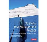 Strategic Risk Management Practice Peter Winther Schruder, Torben Juul Andersen (Auteur)