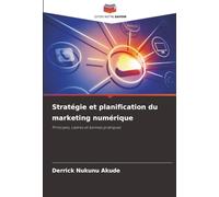 Stratégie et planification du marketing numérique: Principes, cadres et bonnes pratiques