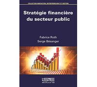 Stratégie financière du secteur public