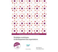 Stratégies numériques et développement des organisations Mto 08 - Daniel Bonnet - Presses Des Mines - broché - Guide