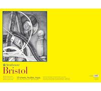 Strathmore 300 Series Bristol Lot de 10 feuilles de papier vélin pour artistes et étudiants, 55,9 x 76,2 cm, pour dessin, croquis et impression