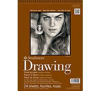 Strathmore Artist Bloc de papier à dessin à spirale 400-3 20,3 x 25,4 cm 24 feuilles Set Pièces