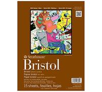 Strathmore Artist Papier Bristol 400 Series vélin double épaisseur 27,9 x 35,6 cm 15 feuilles blanc