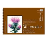 Strathmore Bloc de Papier Aquarelle de 45,7 cm, Presse à Froid de 63,5 kg, 12 Feuilles, Blanc, 30,5 x 45,7 cm