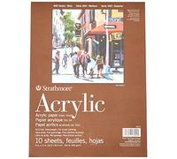 Strathmore Pro-Art-Bilderpalette Lot de 10 Feuilles de Papier Acrylique 20,3 x 30,5 cm
