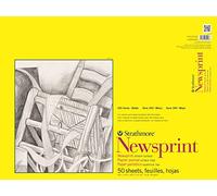 Strathmore Pro-Art Bloc de Papier Journal Lisse 45,7 x 61 cm 50 Feuilles