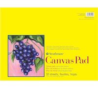 Strathmore Série 300 Lot de 10 feuilles de toile 30,5 x 40,6 cm - Triple apprêt, toile 100% coton, peinture acrylique et peinture à l'huile, blanc