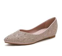 Strato-Vani & Rudy Giovannini - Viva Strauss Live in Flanders Expo